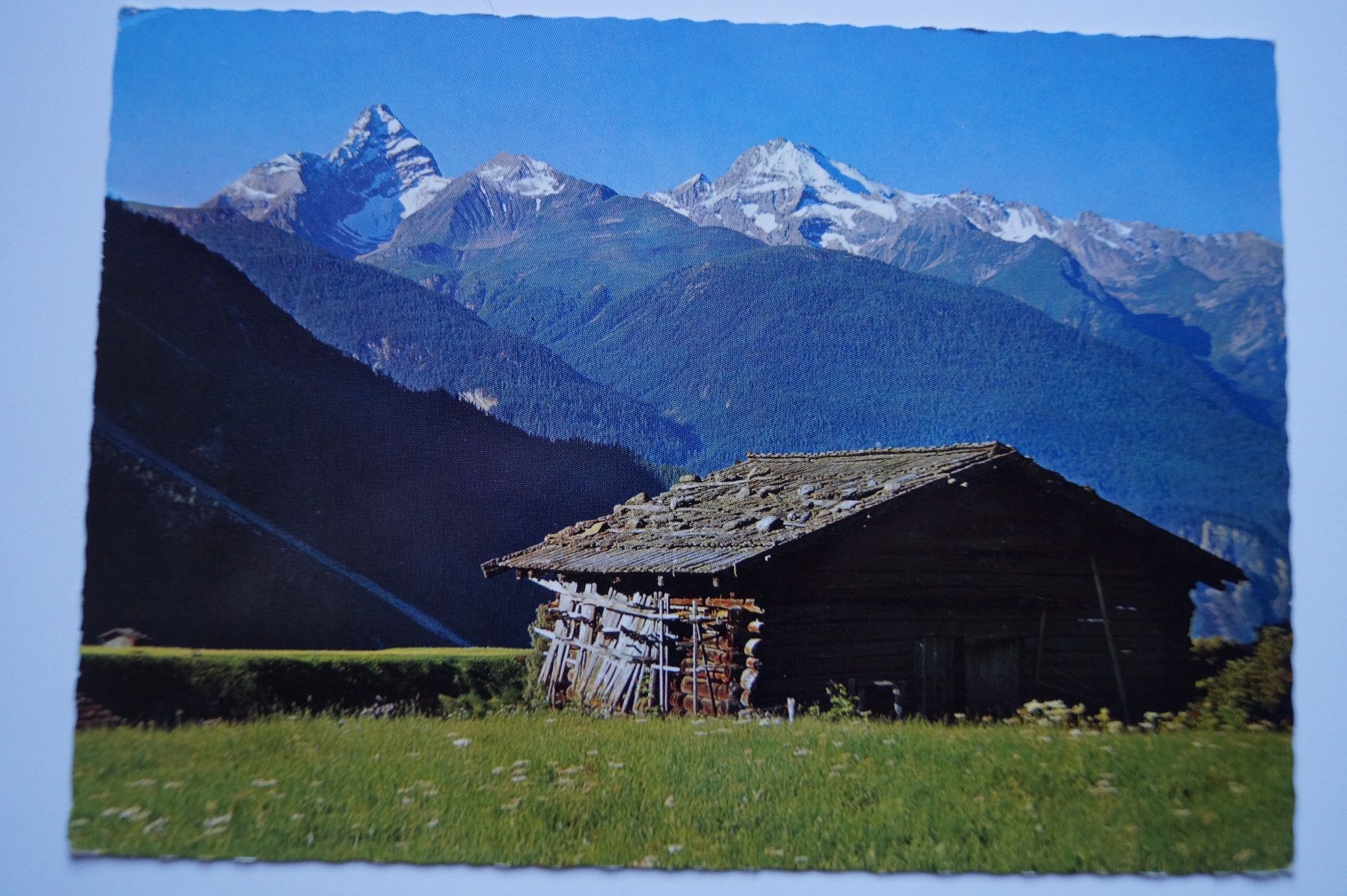 Cartoline postali: Wiesen, auf den Bodmen – Usato da Scheid venduto da dirauls