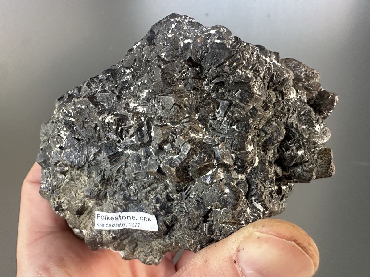 Mineralien & Heilsteine: Markasit Folkestone GB – Gebraucht aus Oberuzwil von Crystall0 4