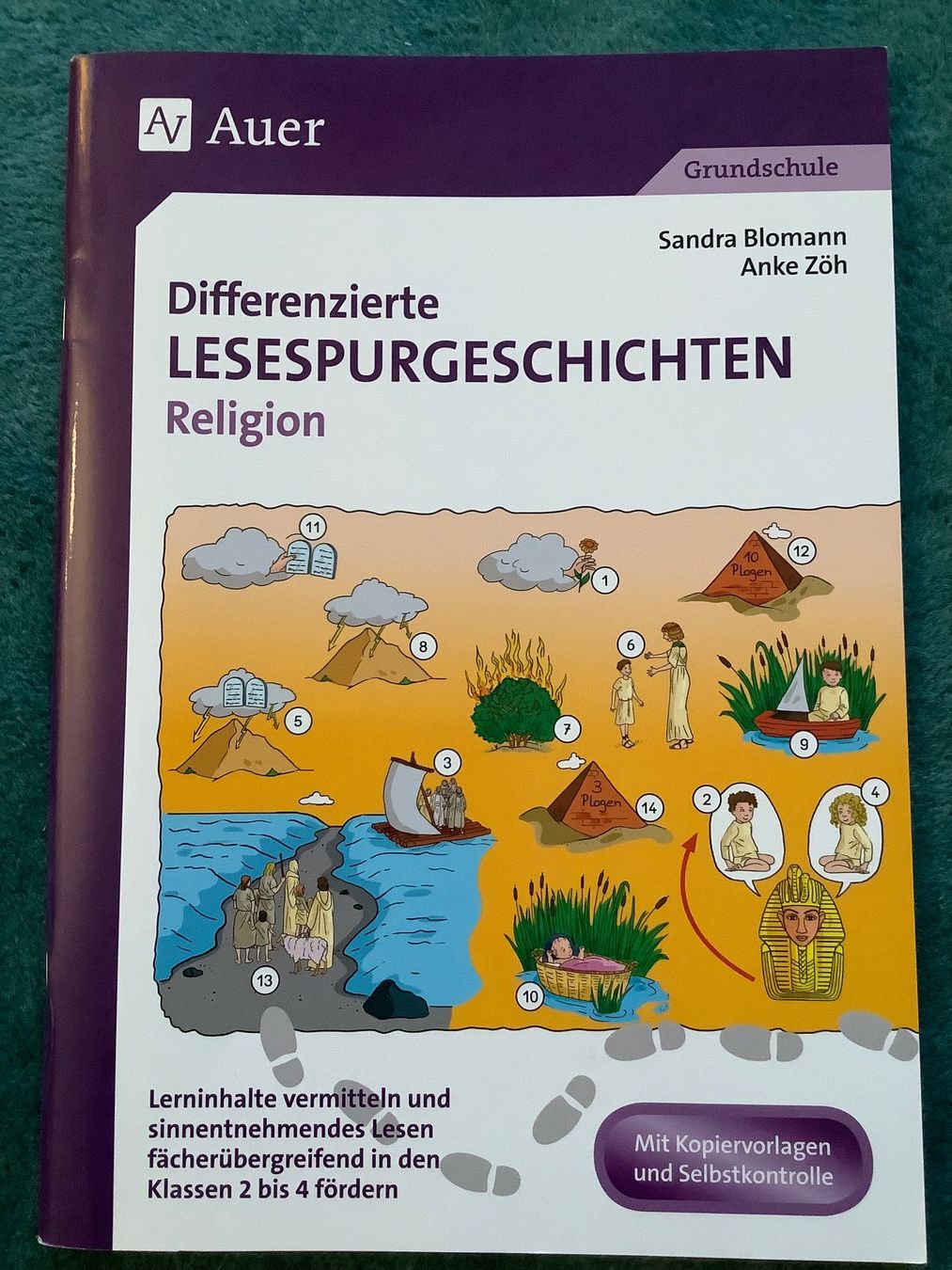Libri: Differenzierte Lesespurgeschichten Bibel – Nuovo (secondo la descrizione) da Zürich venduto da Verde21