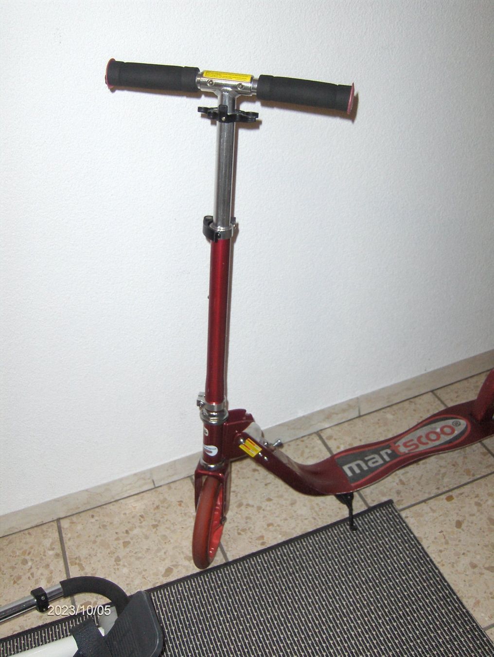 Kickboard: smart Scooter Trotti /andere Kickboard oder El.auf Anfrage – Usato da Schlattingen venduto da Schmidi50 1