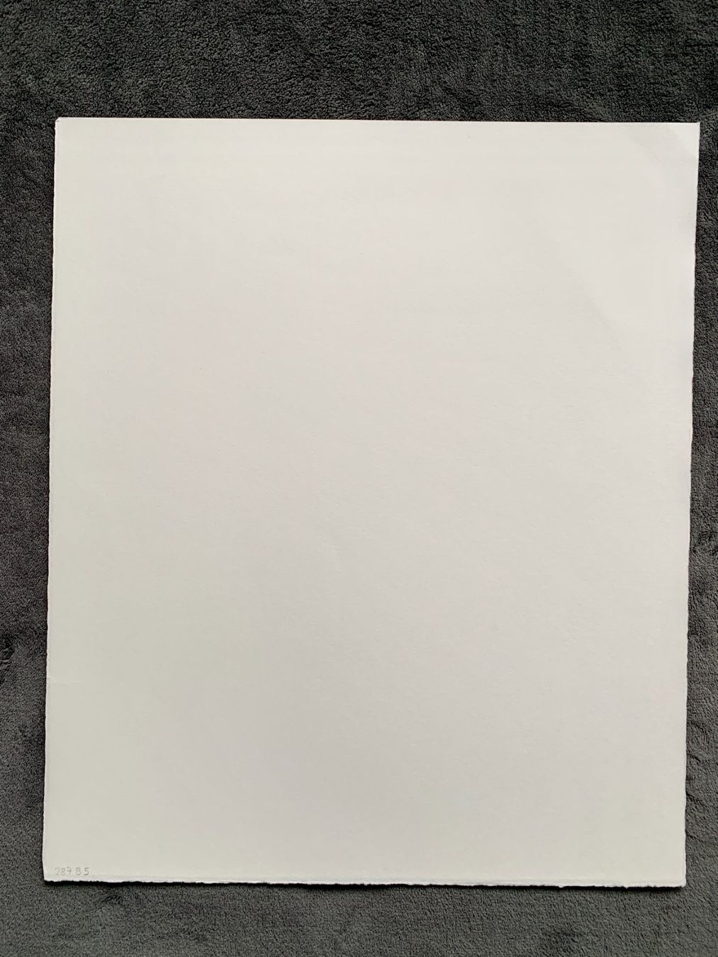 Grafica & Litografie: Kiki Smith – Lithographie Fly – Usato da Regensdorf venduto da JoergR 4