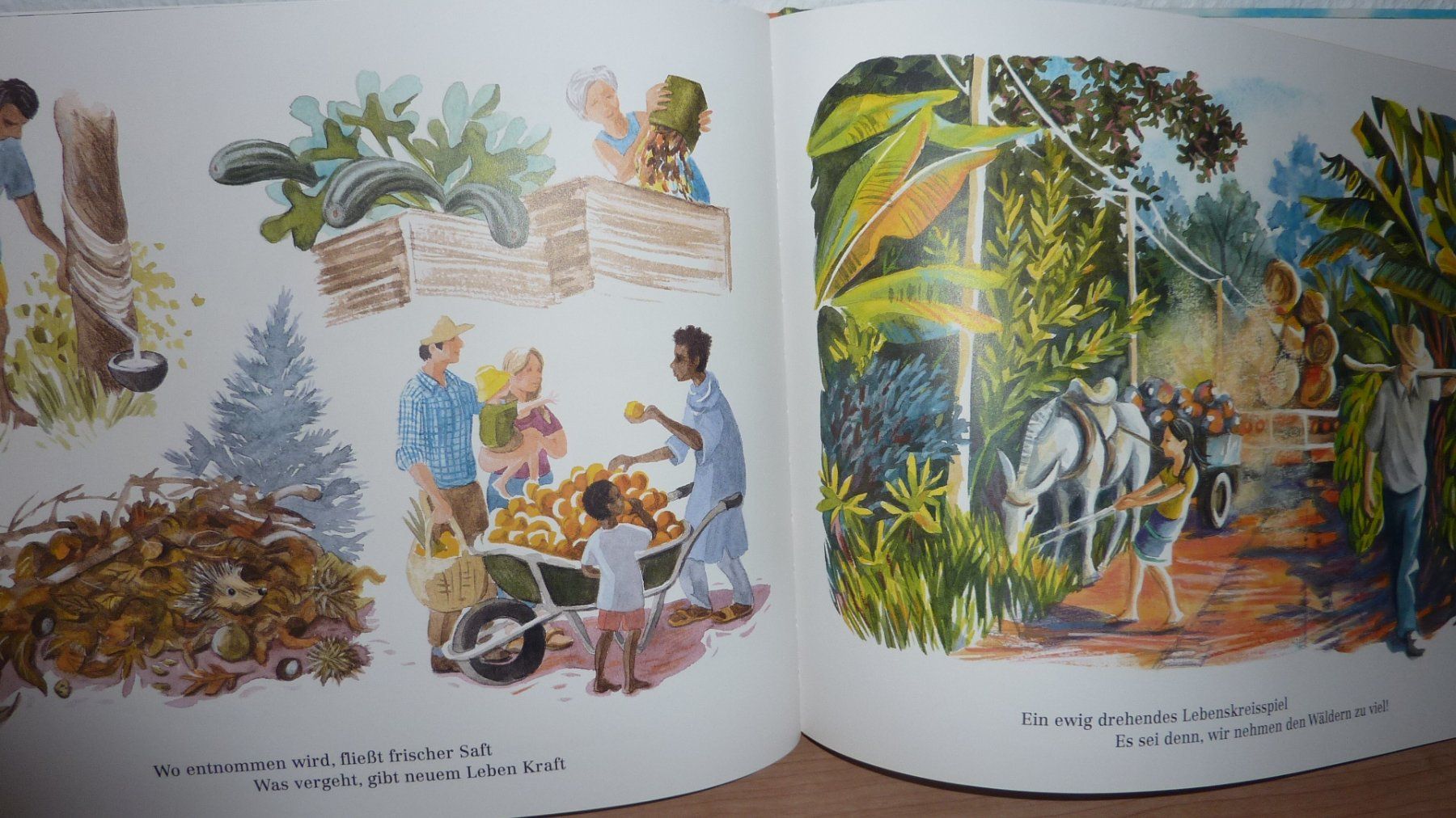 Libri: fast neues kinderbuch – Nuovo (secondo la descrizione) da Füllinsdorf venduto da pmarkus 3