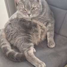 Profile image of Suad34