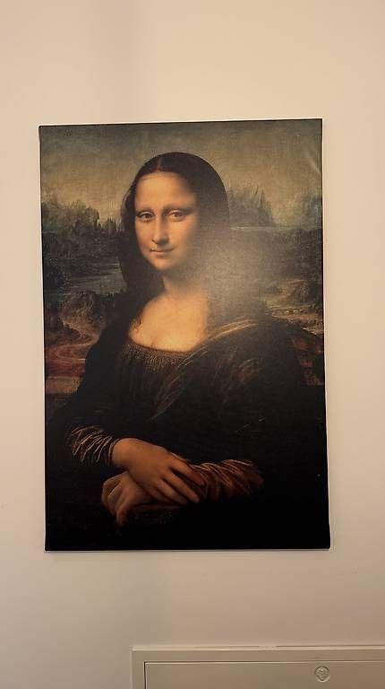 Foto & Immagini: Mona Lisa Bild – Nuovo (secondo la descrizione) da Balgach venduto da DeeKova