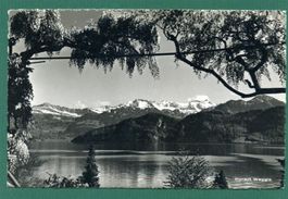 Weggis, Blick auf die Unterwaldner-Alpen, 1943, gelaufen