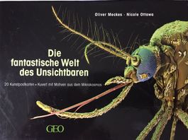 Geo 20 Doppelkarten mit Couverts