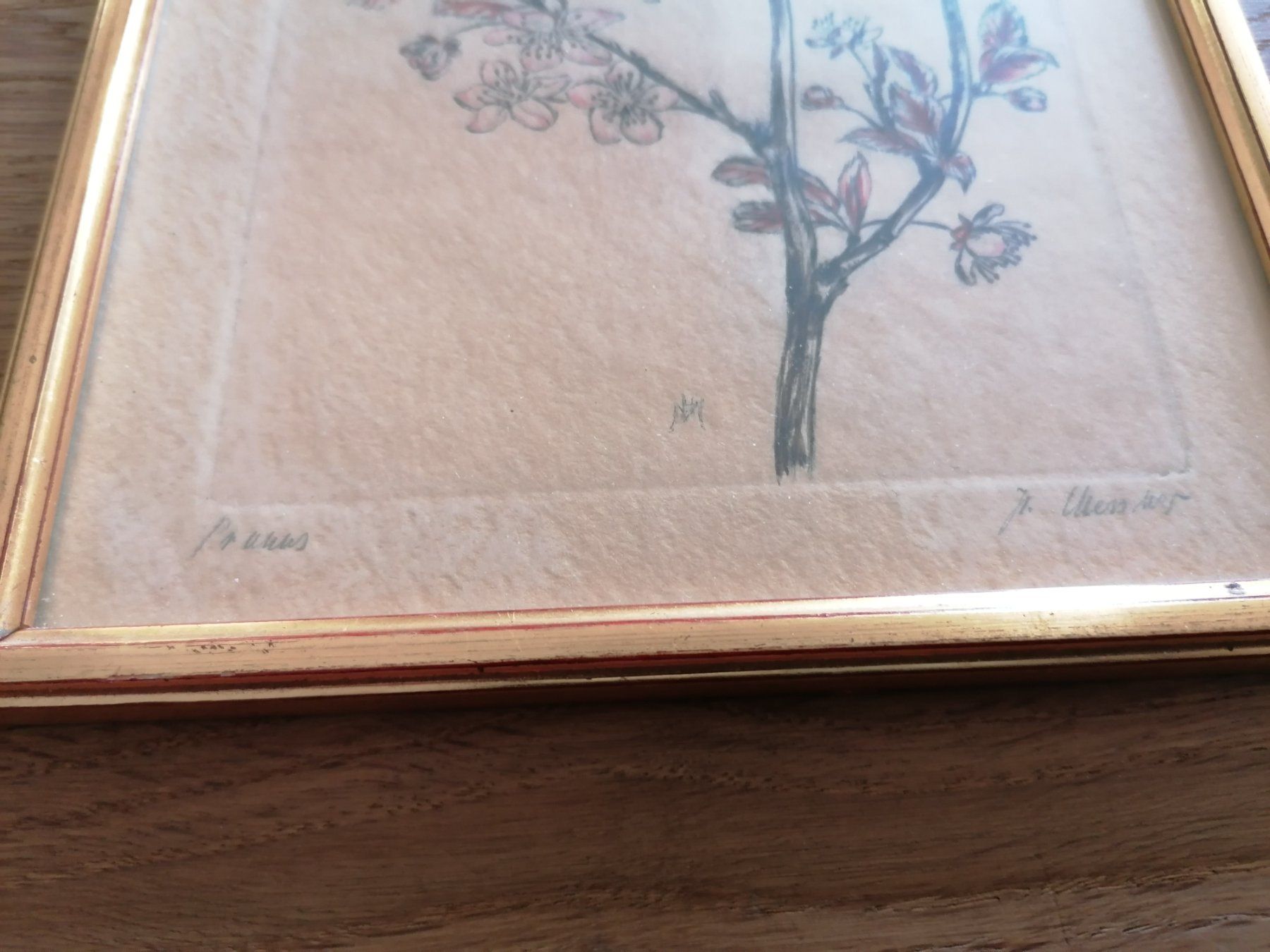 Foto & Immagini: altes antikes Bild im Goldrahmen "Pruuns" – Usato da Schönenbuch venduto da Mentio_SB 2