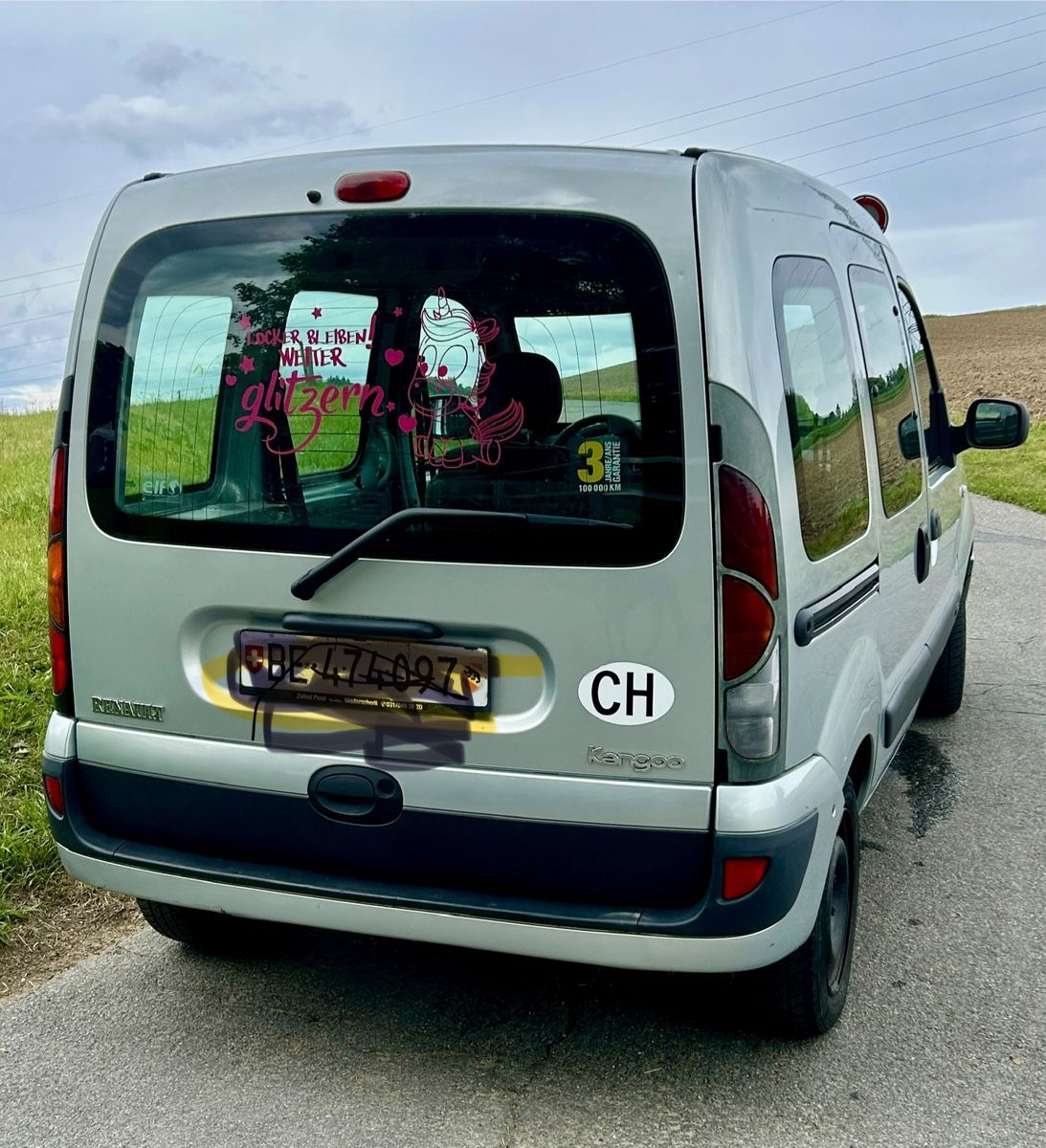 Renault Automobili: Renault Kangoo – Usato da Niederscherli venduto da dampfueli 2