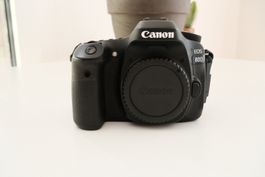 DSLR Canon EOS 80D (nur Body)
