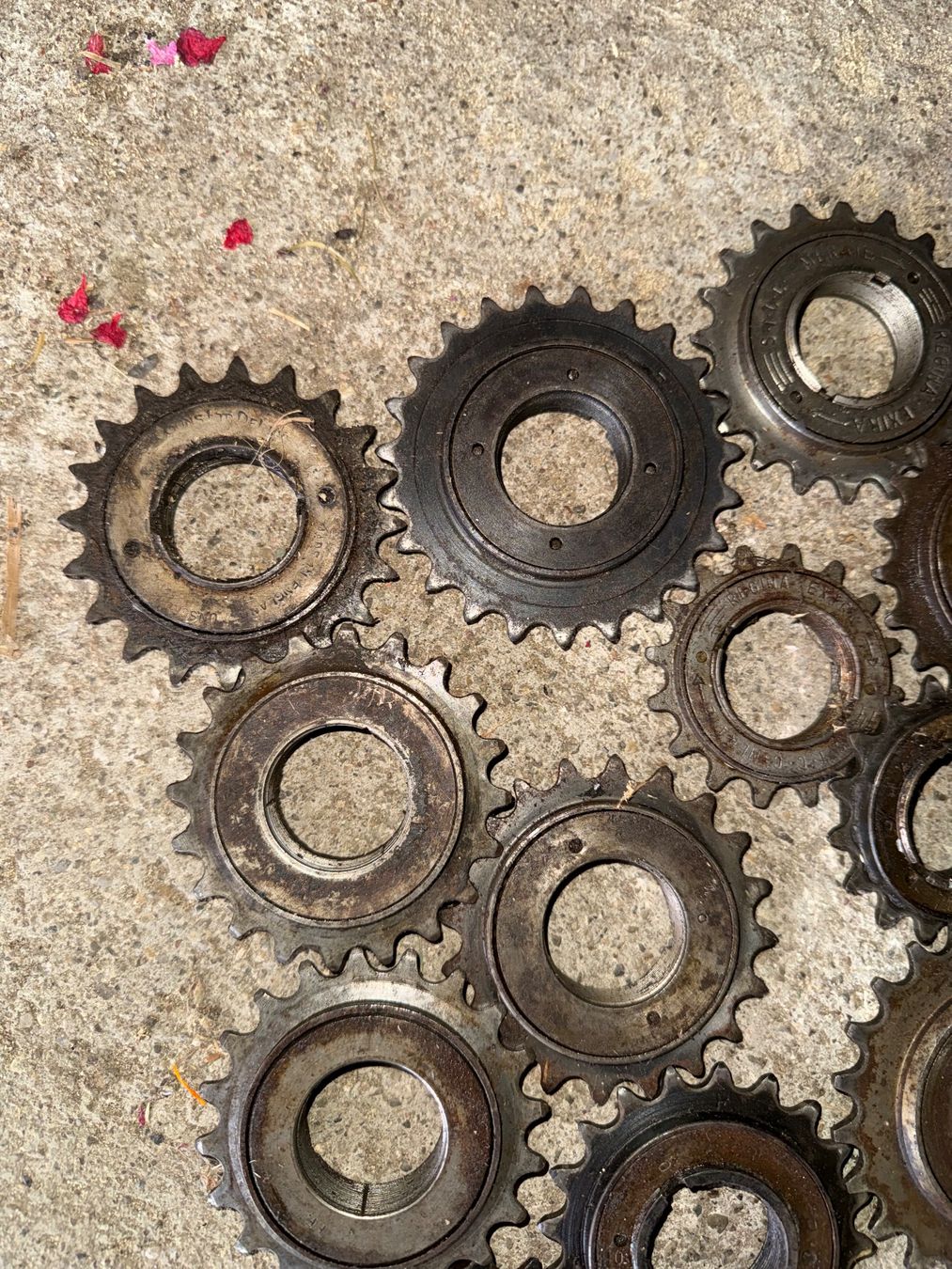 Sachs Parti ricambio per ciclomotori: Diverse Mofa Freilaufe ab 1.-!!!!! – Difettoso da Fahrni b. Thun venduto da berger_tuning34 1