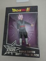 SUPER SAIYAN ROSE GOKU BLACK