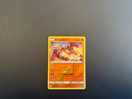 Groudon 113/236