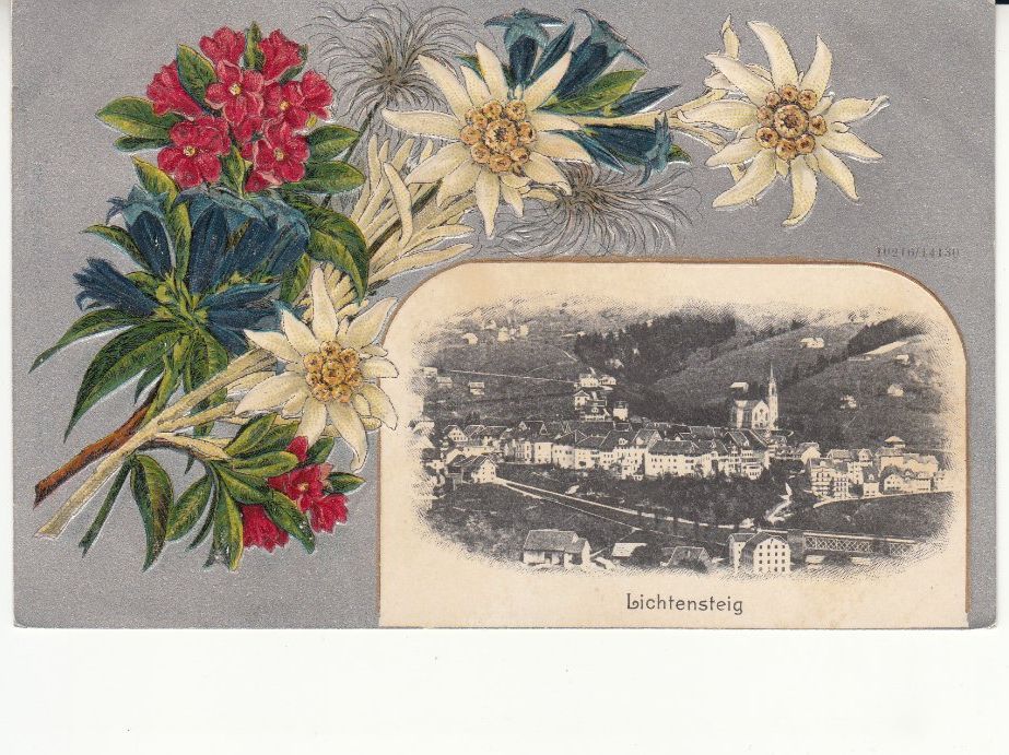 Cartoline postali: Lichtensteig 1910 – Usato da Bürglen TG venduto da StampGraf