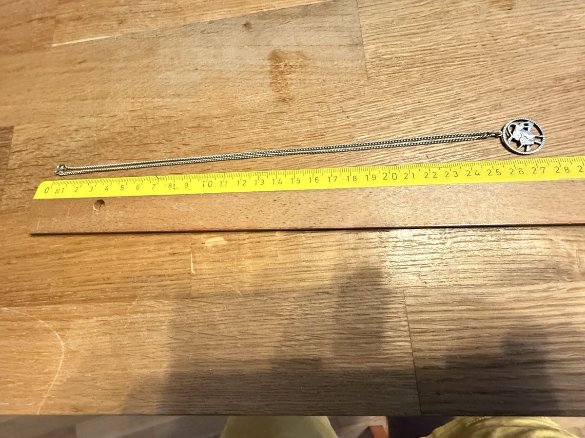 Catenine: Kette mit Anhänger Stier 800 Silber – Usato da Goldach venduto da Messerguru 5
