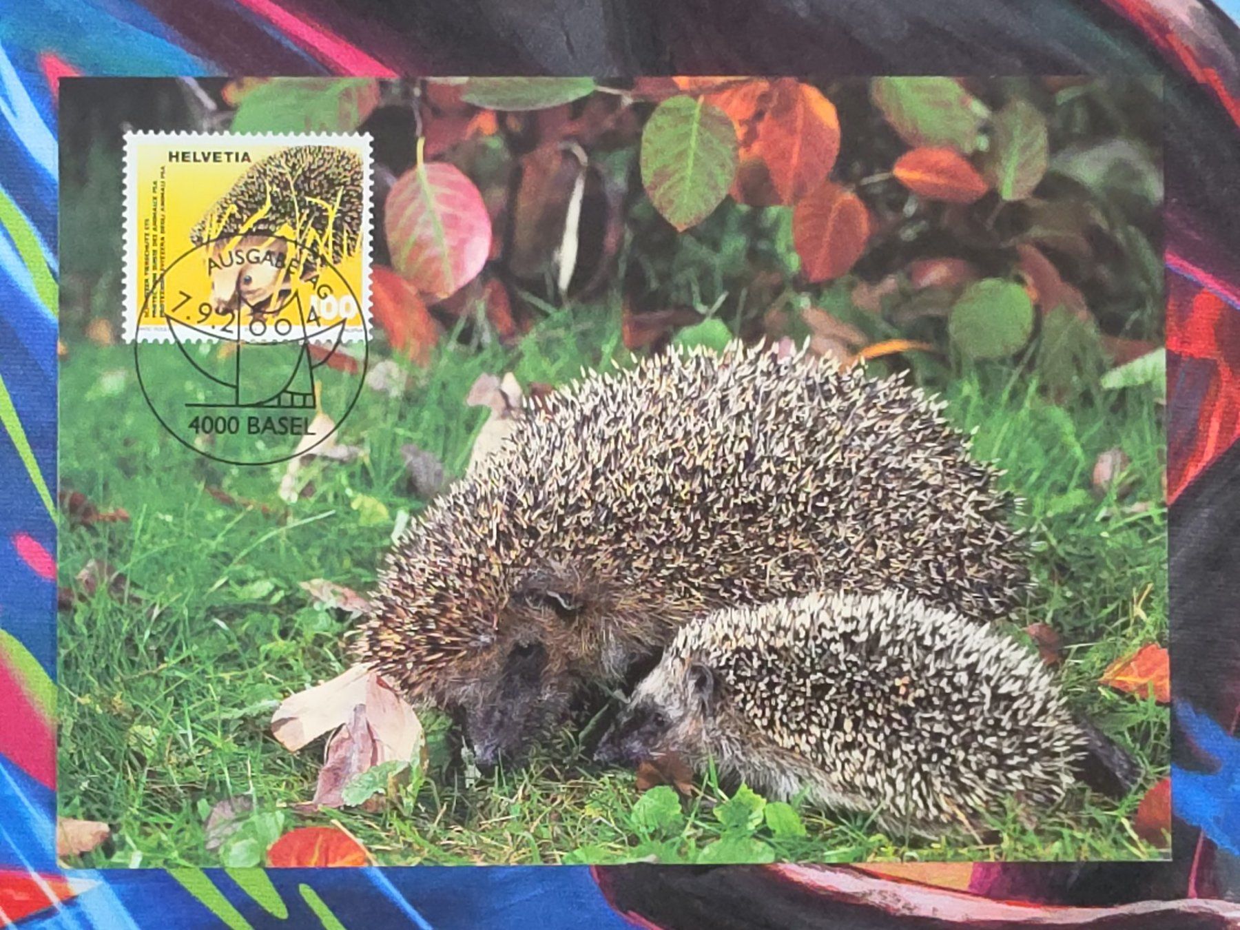 Cartoline postali: CL26 3x Carte Postale + Timbre Suisse 2004 – Usato da Cousset venduto da Patrick_Collections 2