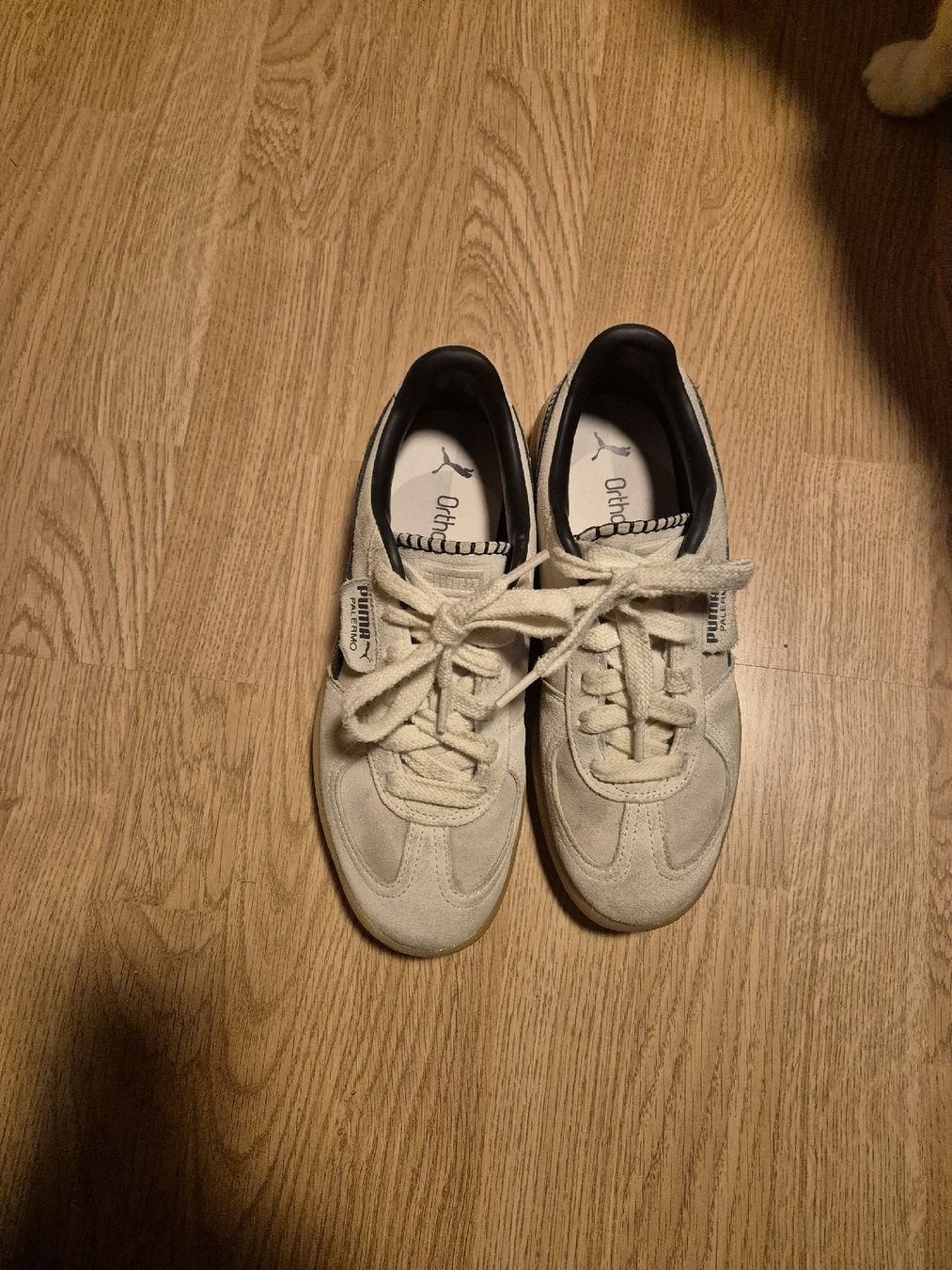 Puma Scarpe da donna: Puma Palermo – Usato da Obergoldbach venduto da _M_H_O_ 1