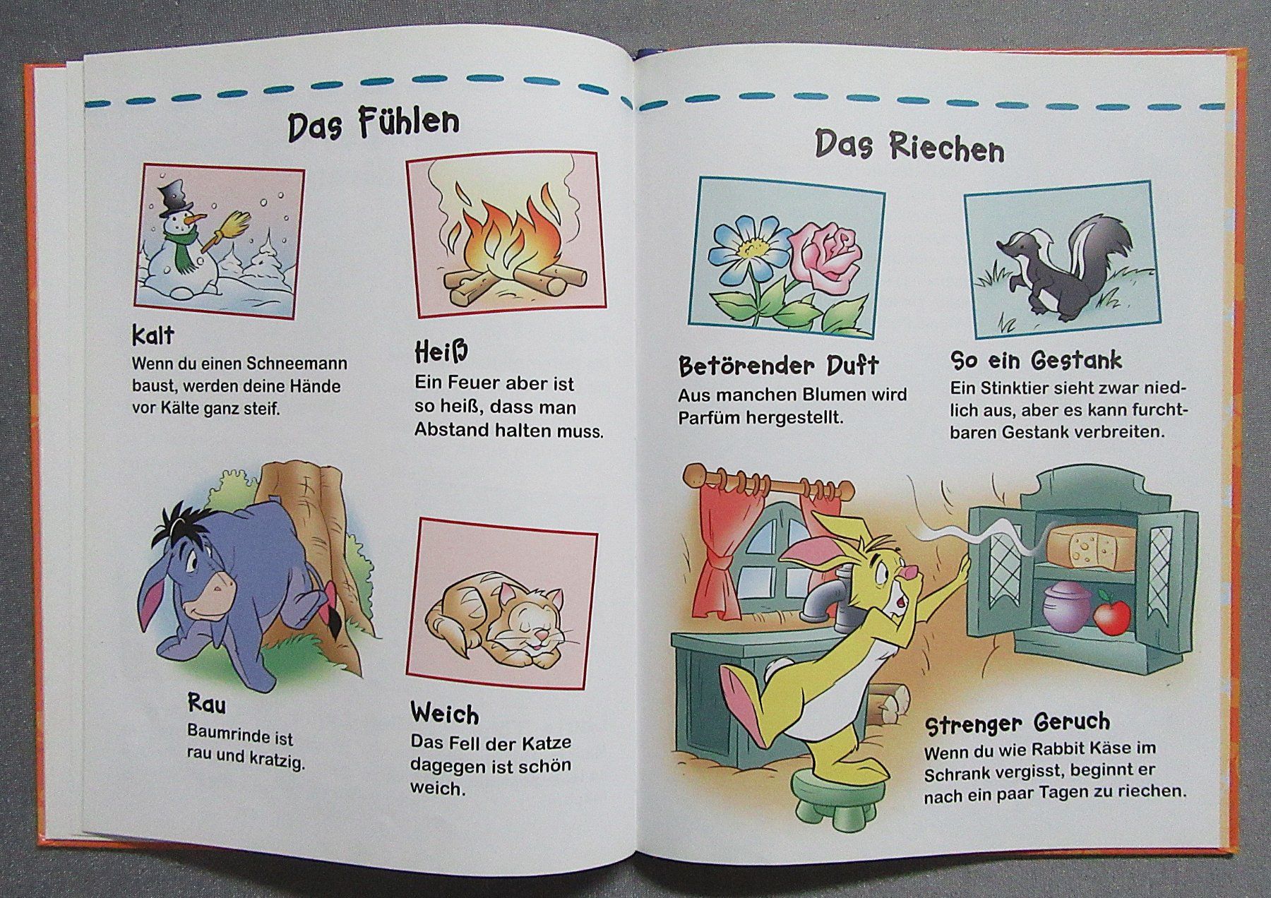 Libri: Winnie Puuh - Entdecke die 5 Sinne – Usato da Auenstein venduto da Padabimbim 6