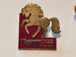 1 Pin Pony Stübli Malters