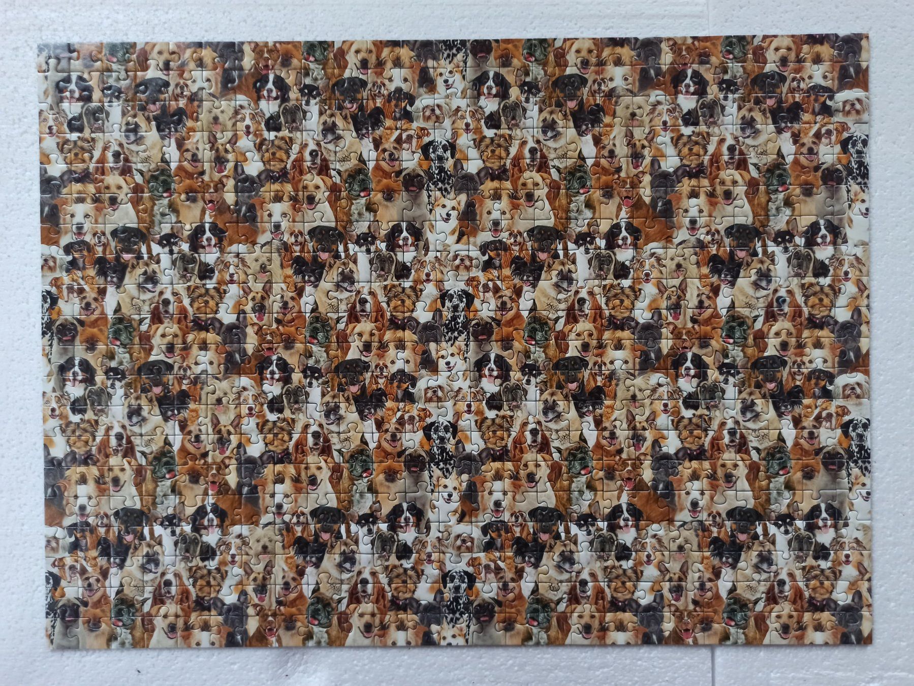Puzzle: Puzzle 500 Teile | Für Hunde und/oder Katzenfans – Nuovo (secondo la descrizione) da St. Gallen venduto da syl_575n 2