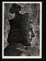 Foto-AK Deutscher Kunstverlag, NR 46 Wal