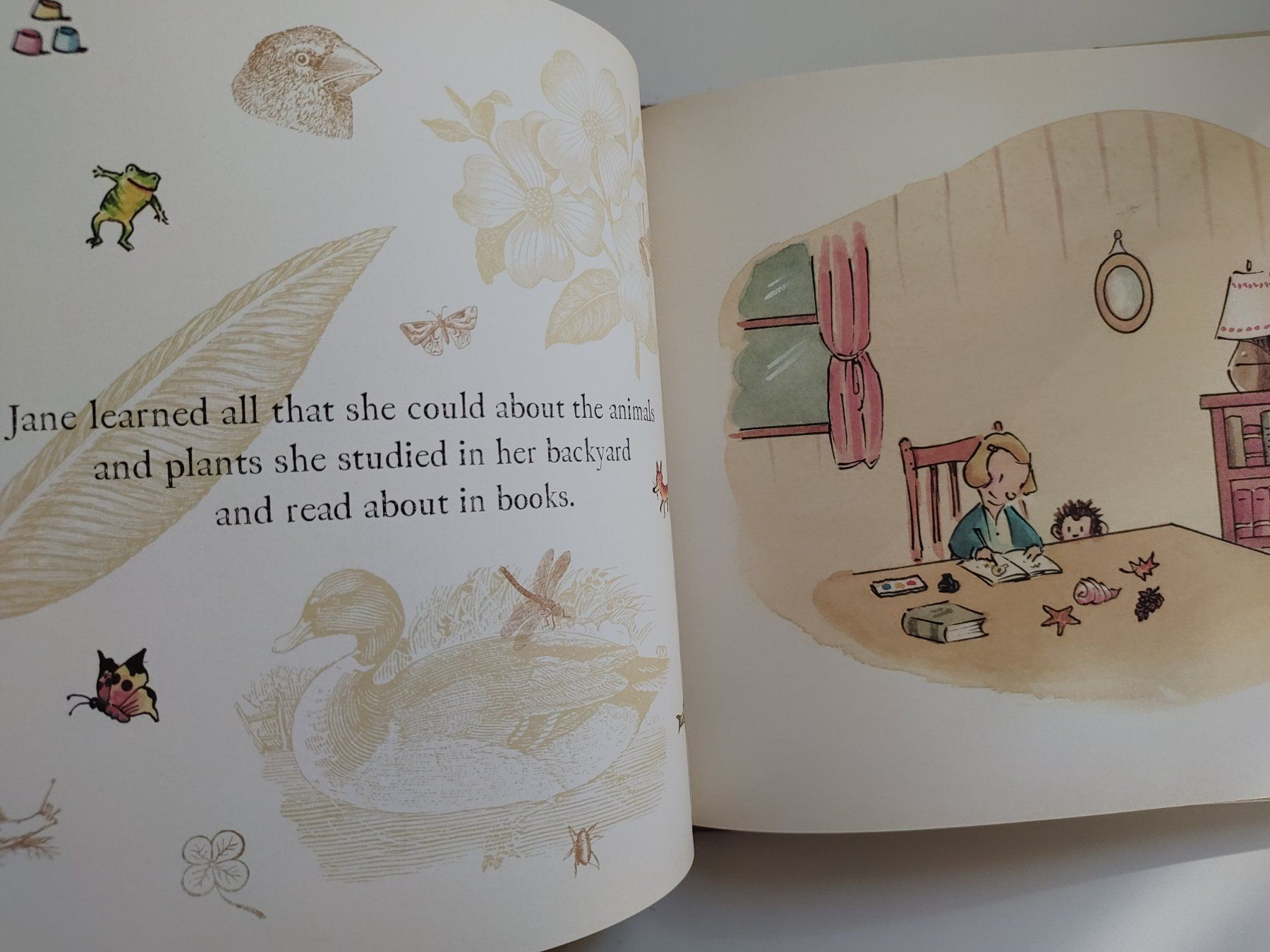 Livres: Children's Book: Me...Jane – D'occasion à Zürich par Mar_Mic 2