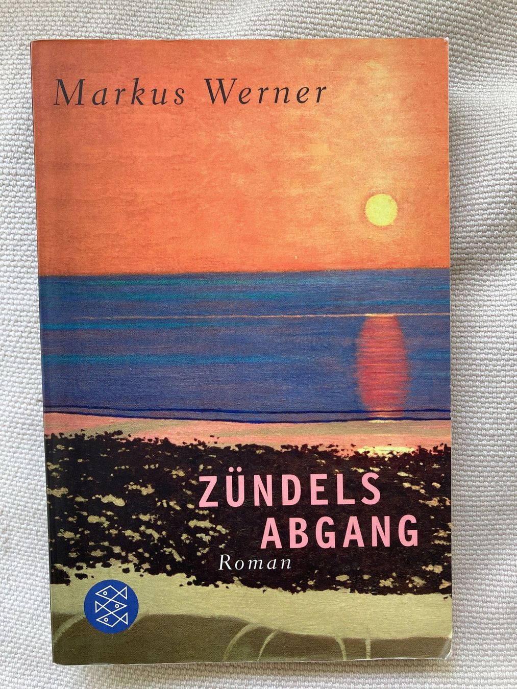 Libri: Markus Werner, Zündels Abgang – Usato da Baden venduto da Yoyo1
