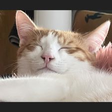 Profile image of LalaG