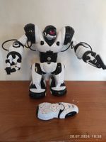 Robosapiens X