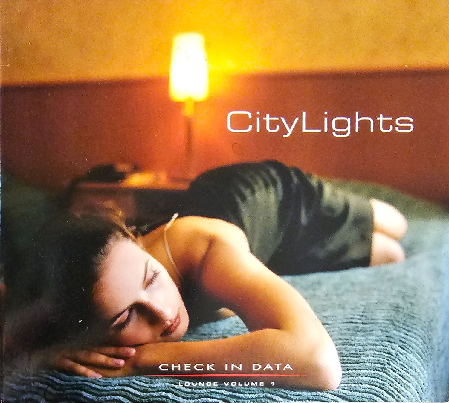 CDs: City Lights - Check-In Data Lounge Volume 1 – Gebraucht aus Wahlen b. Laufen von Cg10