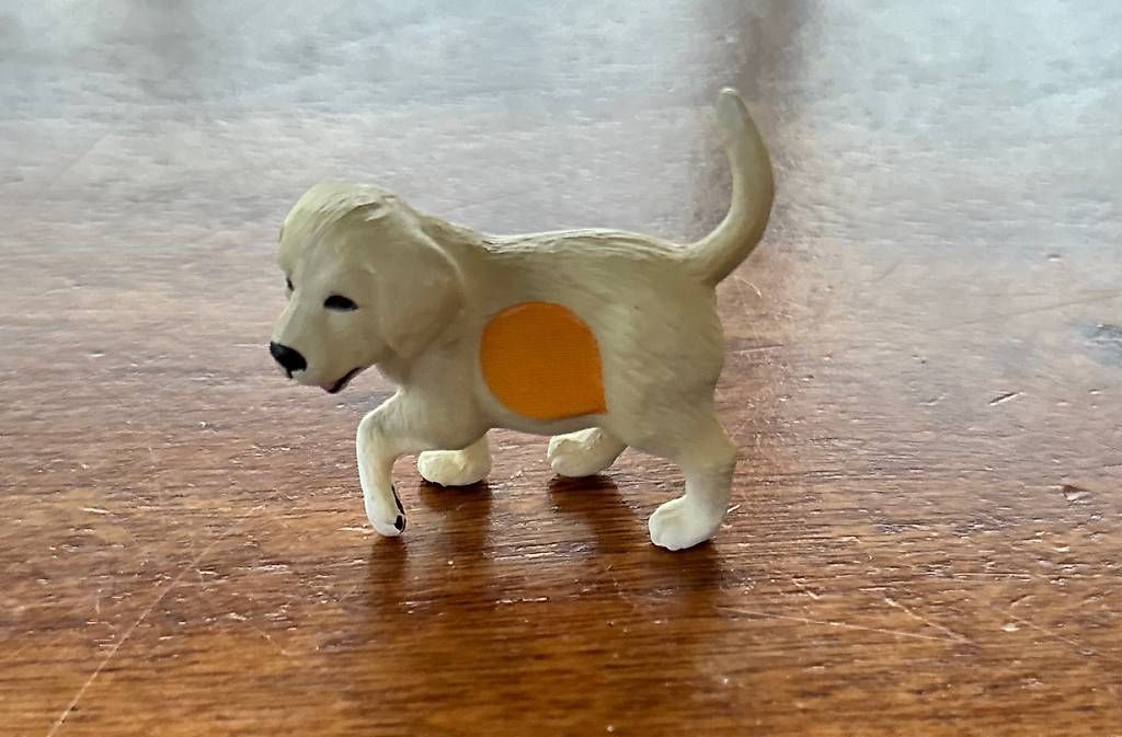 Spielzeuge: Tip Toi Hund – Gebraucht aus Solothurn von mel_ywc7