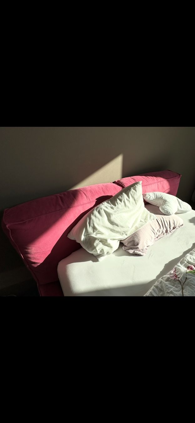 Letti: Twils Boxspringbett mit Qualität Falomo Matratze – Usato da Wollerau venduto da mimirahi 2