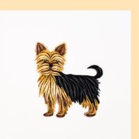 Hund 2D Karte