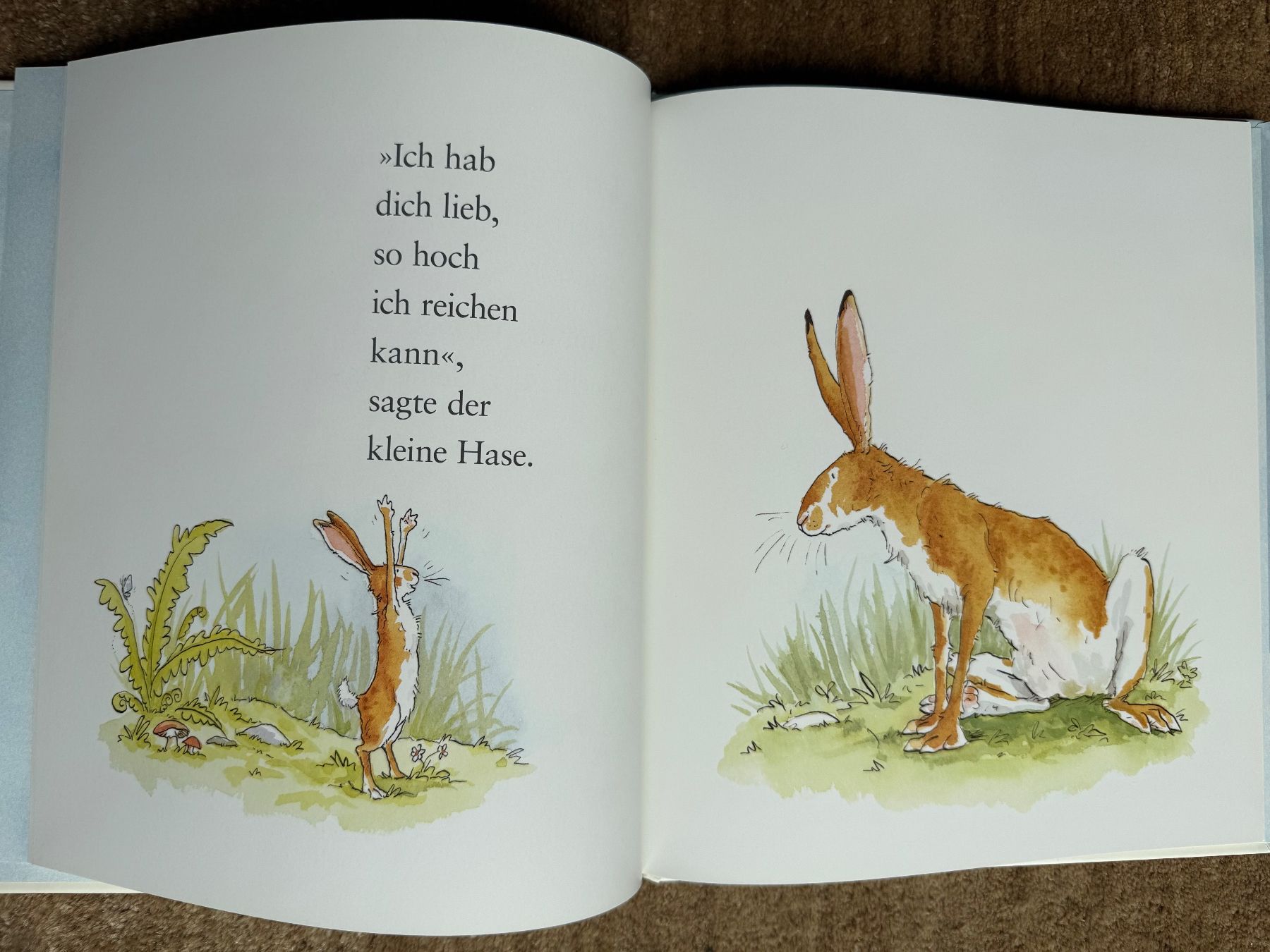Bücher: Weisst du eigentlich wie lieb ich dich hab? – Neu (gemäss Beschreibung) aus Aarau von Kilauea 3