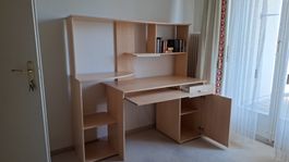 Schreibtisch mit Regal/Schublade/Kästchen und Beleuchtung