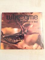 Whysome - ...of the need to wait