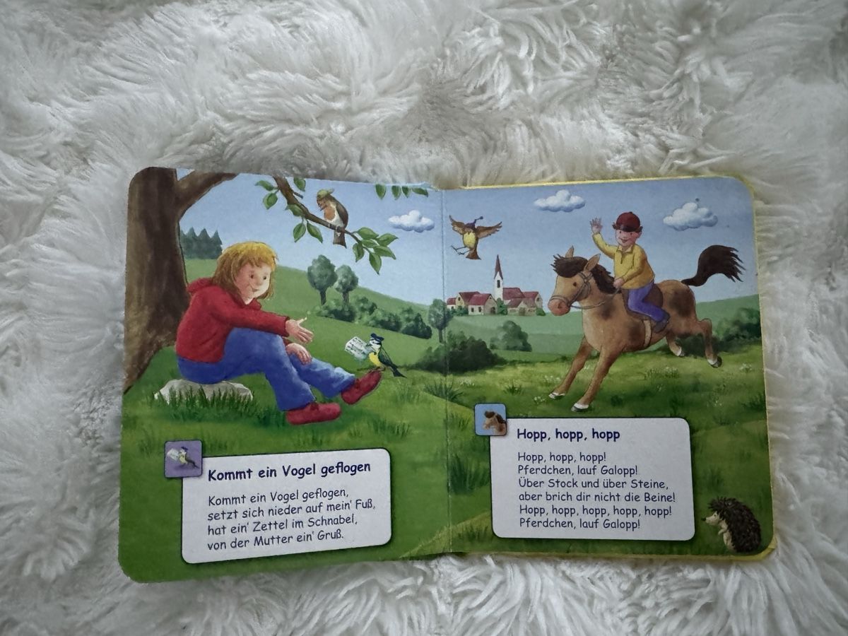 Bücher: Kinderbuch: Meine Kinderlieder – Gebraucht aus Sins von sum_lv6d 3
