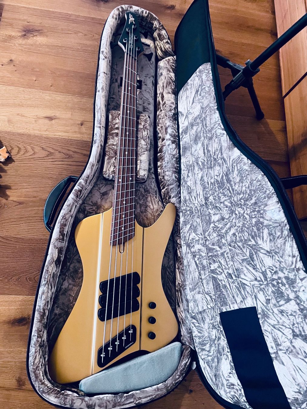 Strumenti musicali: Dingwall D-Roc Standard 5 String (Super Zustand) – Usato da Boswil venduto da HairyCloset 7