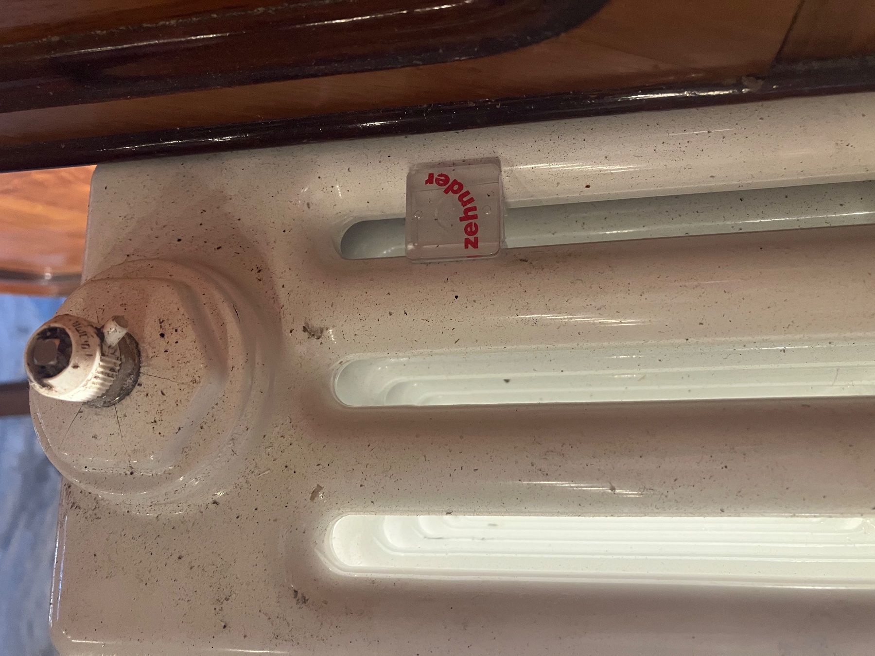 Zehnder Radiatori: Heizkörper – Usato da Wald ZH venduto da Tulpe_12 2
