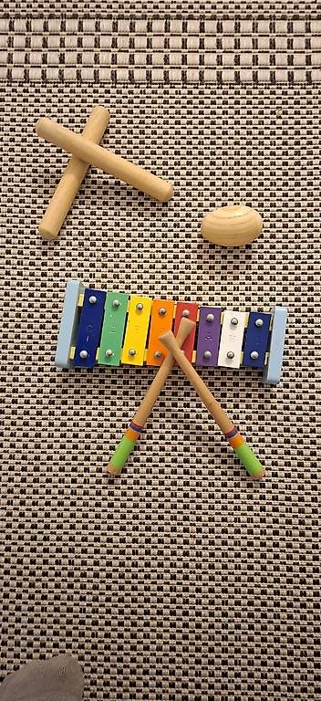 Strumenti musicali: Instrumenten Set – Usato da Witterswil venduto da AH4108