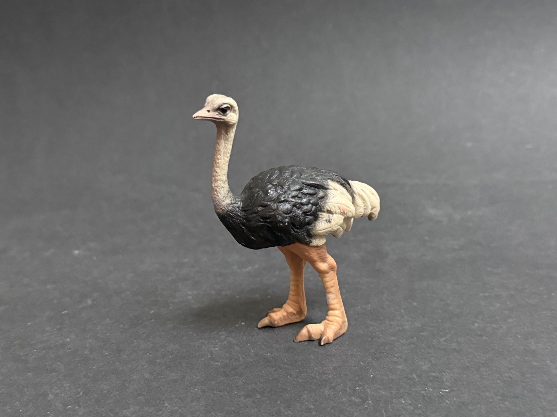 Schleich Statuette: Schleich Strauß  Strauss – Usato da Ennetbaden venduto da mapa05 3