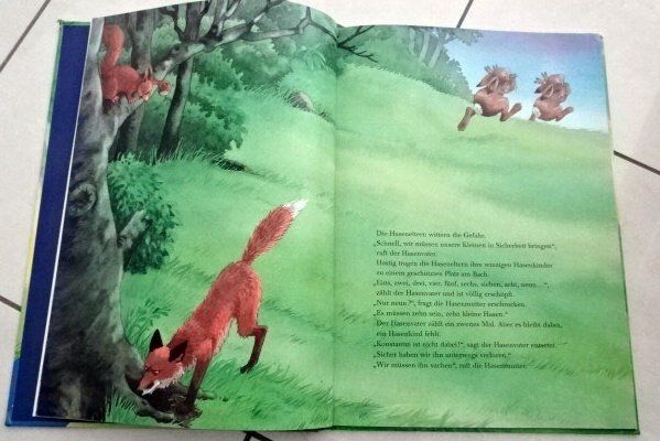 Livres: Kater Vater Hasensohn – D'occasion à Wetzikon ZH par strubeli024 1