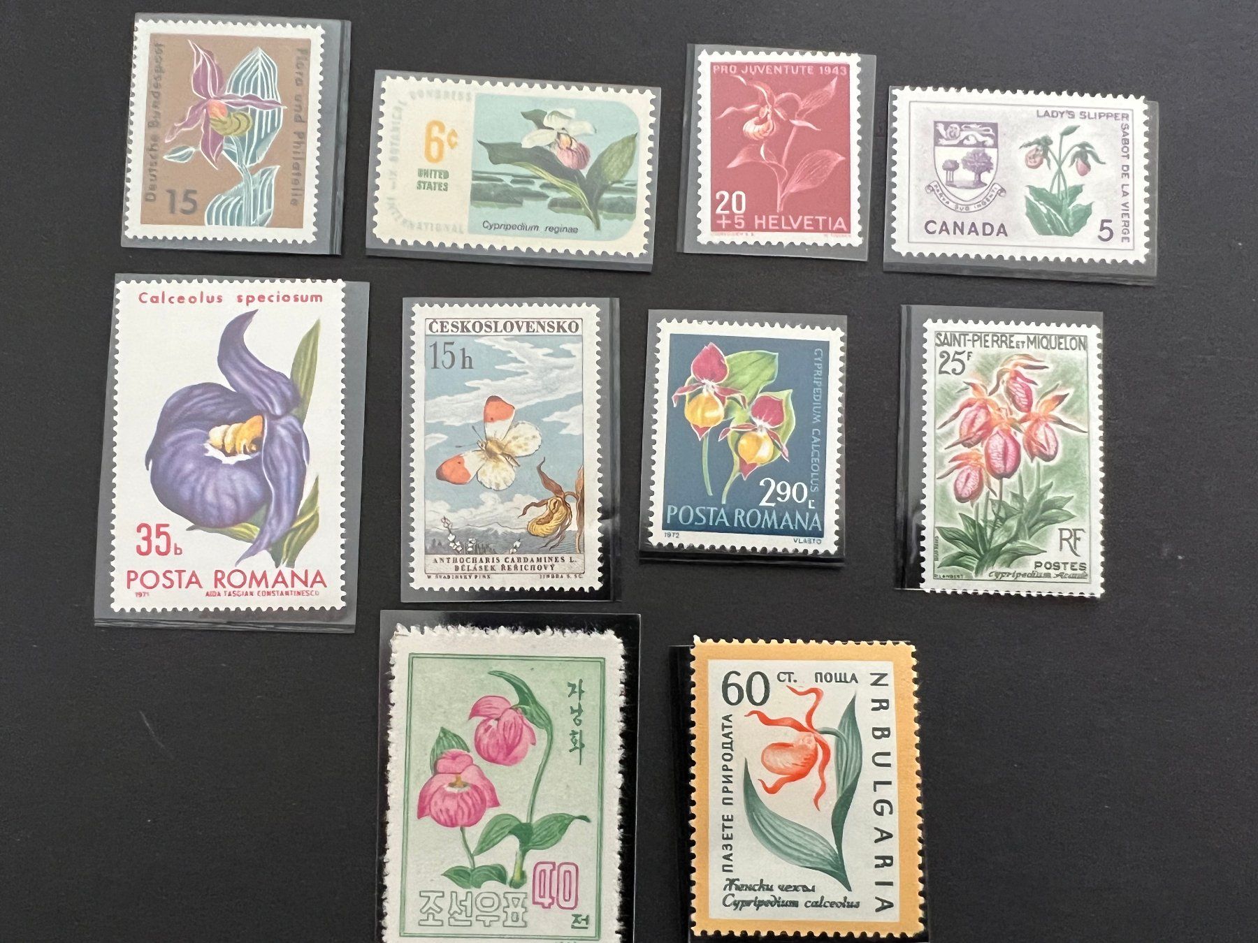 Tutti i francobolli: Orchideen diverse Länder** Luxus (B212) – Usato da Hinwil venduto da Sidi4