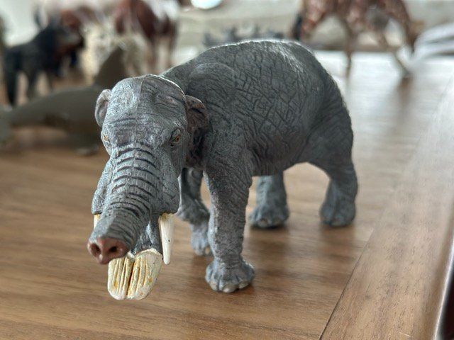Statuette: Safari Ltd. Amebelodon Sammelfigur – Usato da Fällanden venduto da SafariSchleichCH