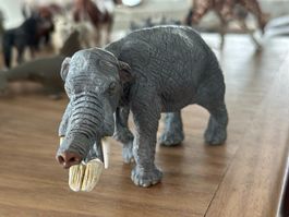 Safari Ltd. Amebelodon Sammelfigur