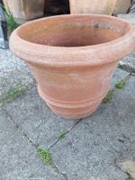 Blumentopf 🤩 Terrakotta Topf Garten Wohnung Terasse