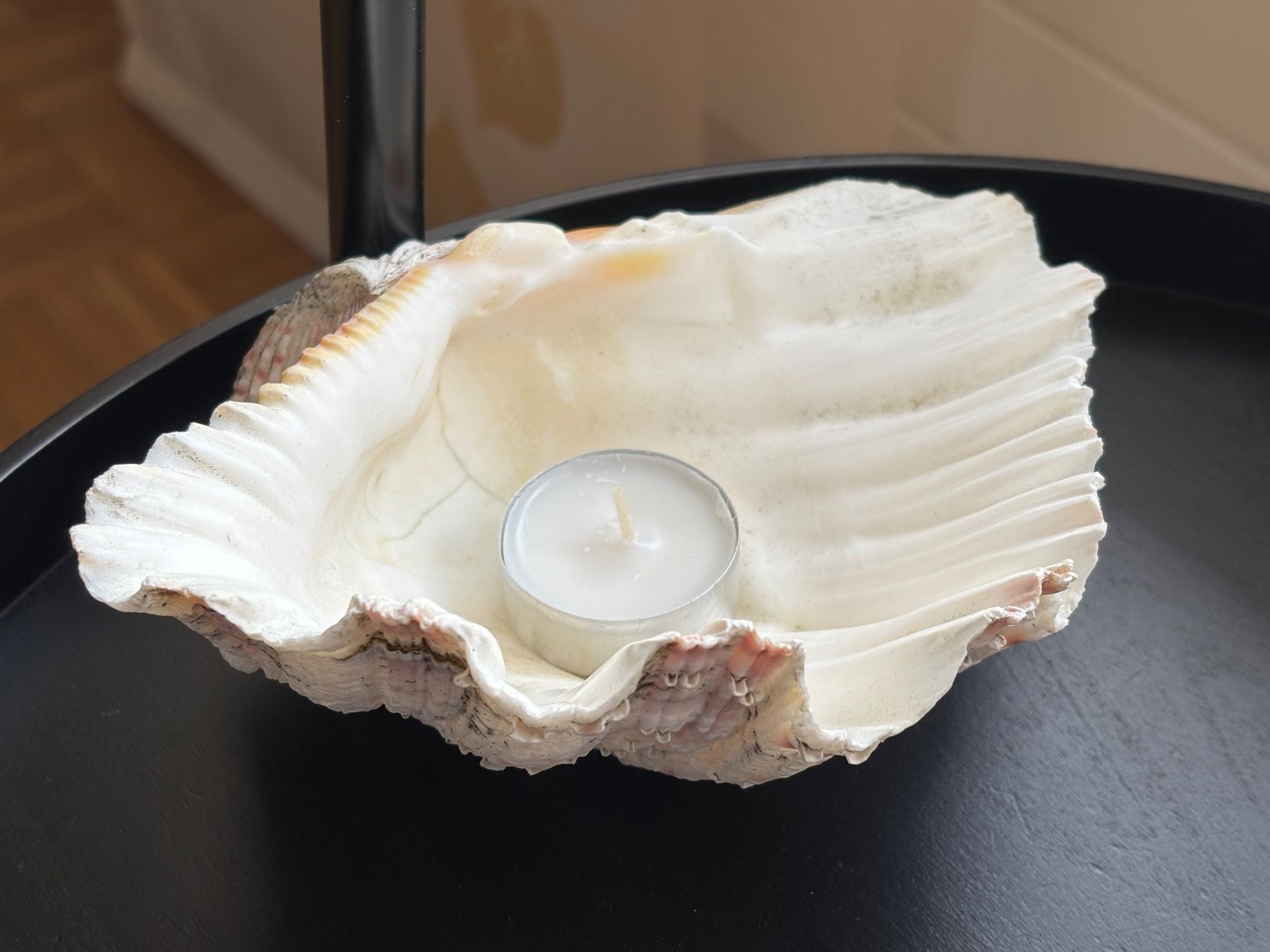 Fossilien: Grosse Muschel - 19,5cm - Windlicht – Gebraucht aus Jona von Sid100 9