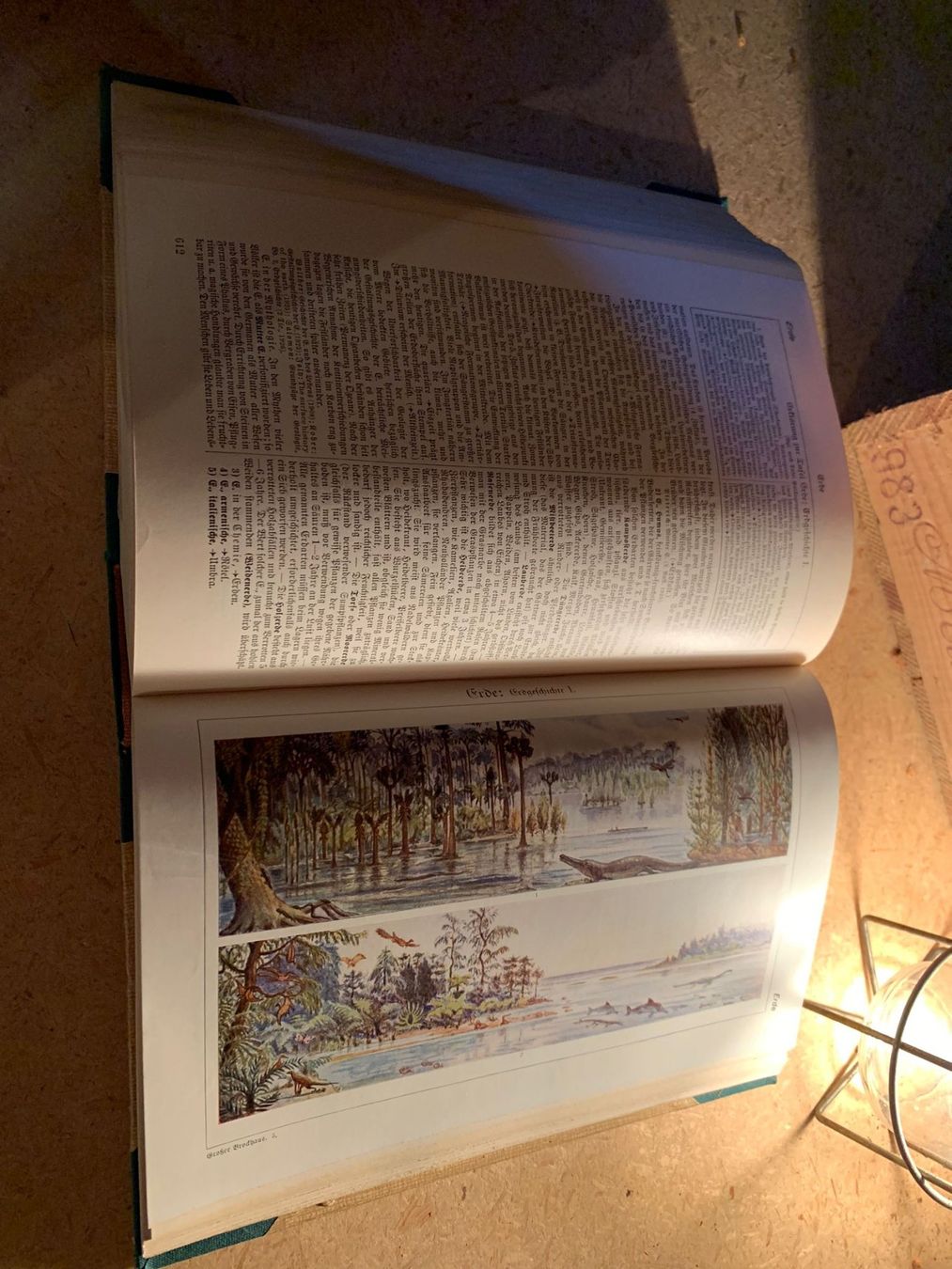 Libri: 21 Lexika Brockhaus von 1930 – Usato da Magden venduto da ale_d98n 4