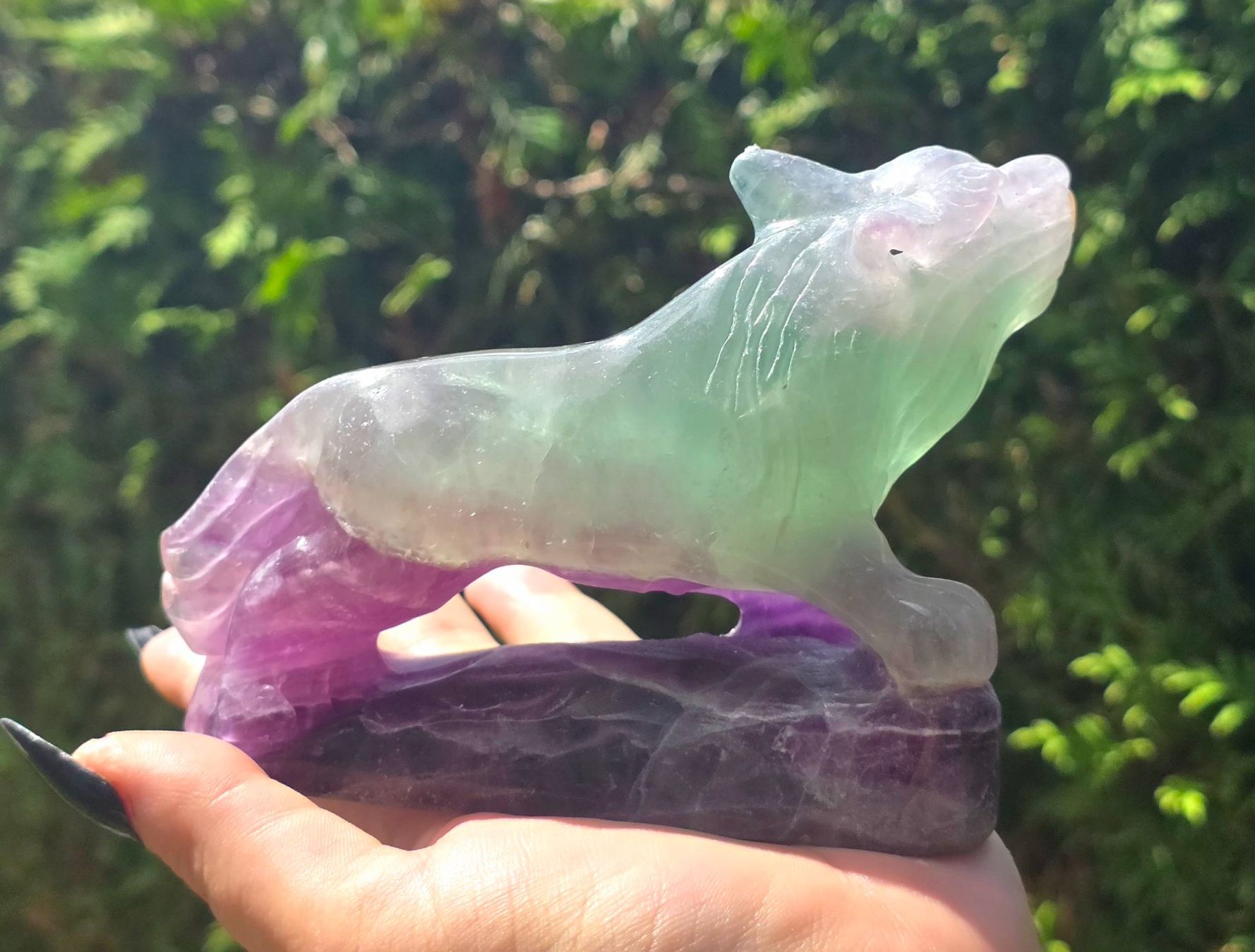 Mineralien & Heilsteine: 💜 Fluorit Wolf 💚667g – Neu und originalverpackt aus Matzingen von Shay_Crystalz 1
