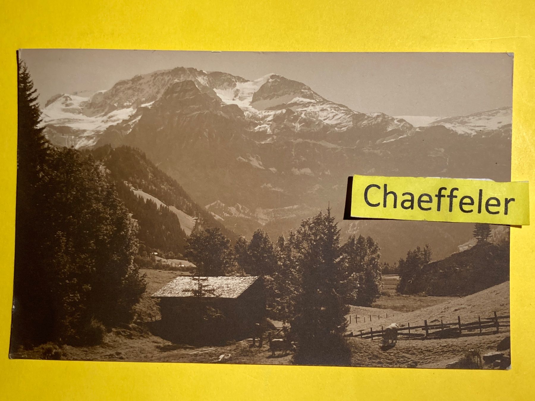 Cartoline postali: 1923 Lenk i. S.  Wildstrubel – Usato da Zürich venduto da Chaeffeler