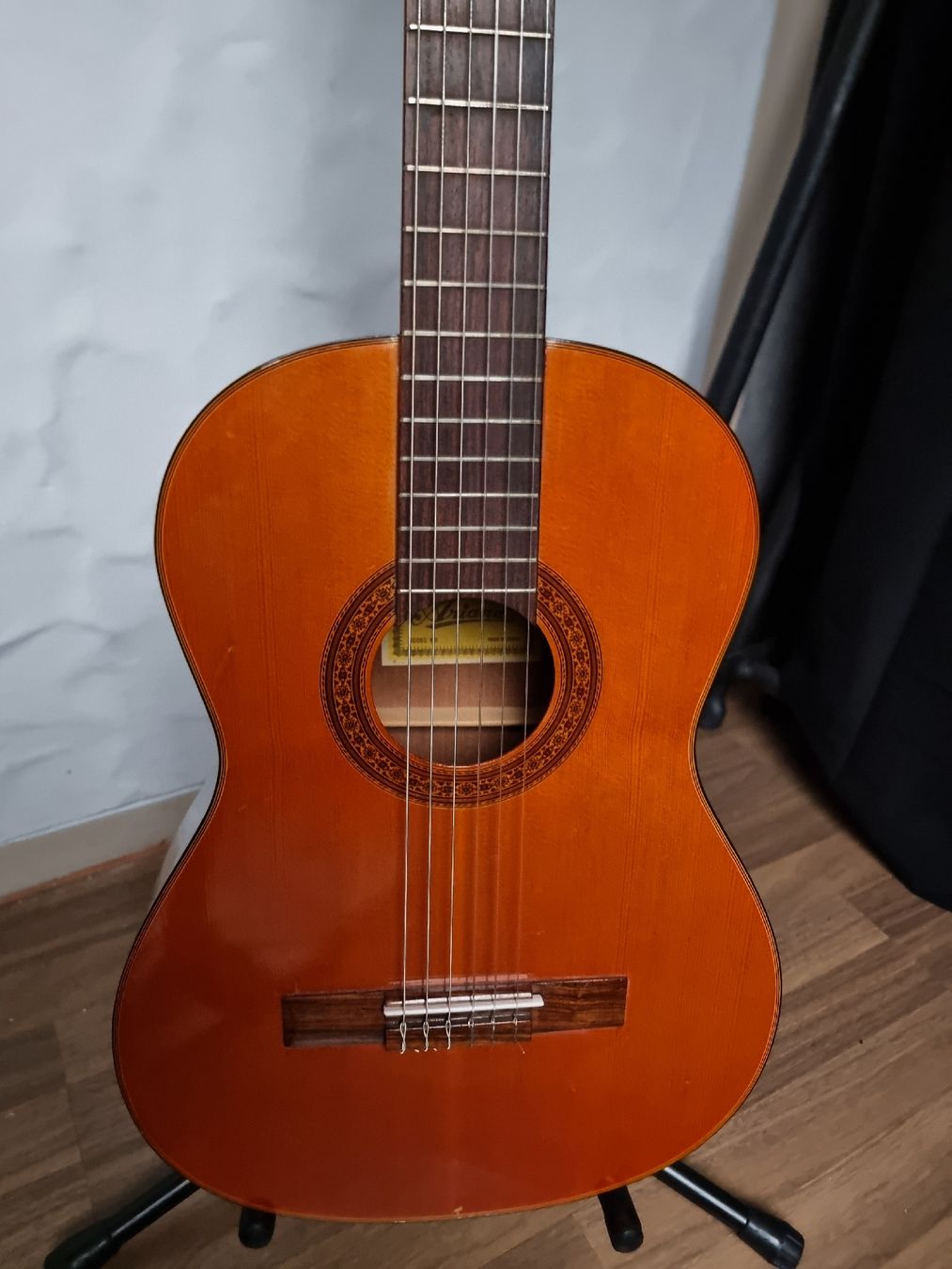 Aria Strumenti musicali: Classical Guitar Ariana A579 – Usato da Solothurn venduto da lyn_6wfc